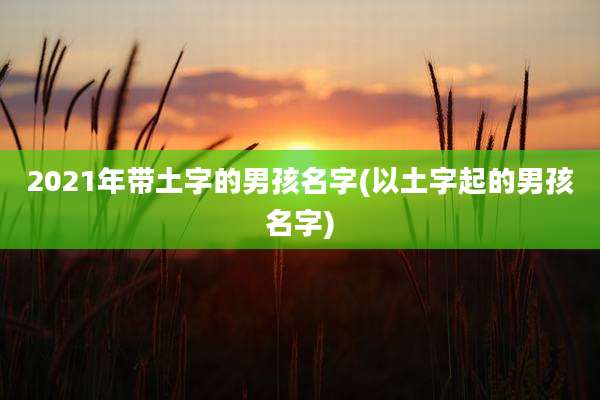 2021年带土字的男孩名字(以土字起的男孩名字)