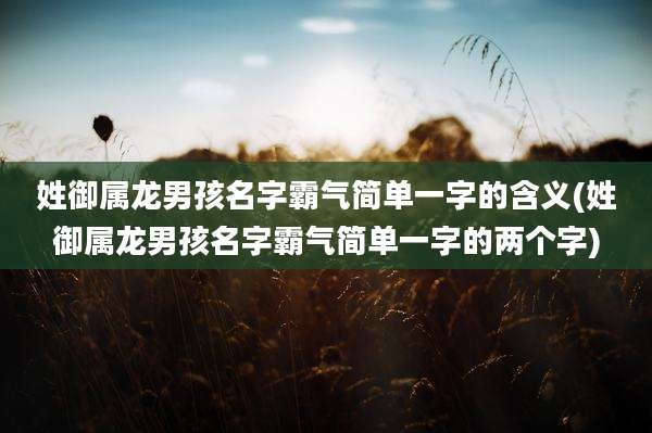 姓御属龙男孩名字霸气简单一字的含义(姓御属龙男孩名字霸气简单一字的两个字)