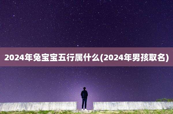 2024年兔宝宝五行属什么(2024年男孩取名)