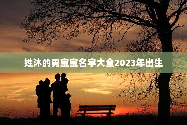 姓沐的男宝宝名字大全2023年出生