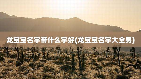 龙宝宝名字带什么字好(龙宝宝名字大全男)