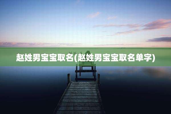 赵姓男宝宝取名(赵姓男宝宝取名单字)