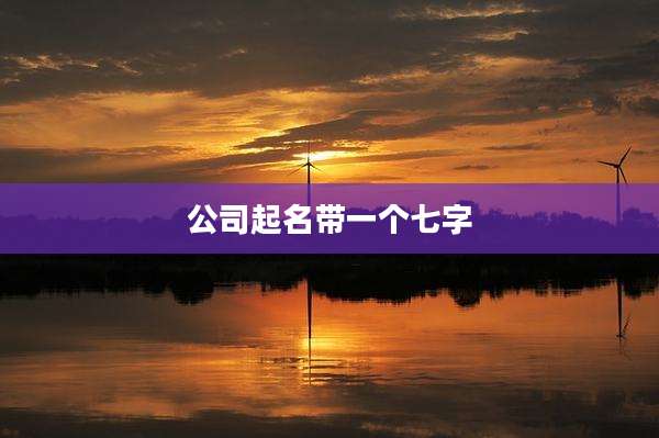 公司起名带一个七字
