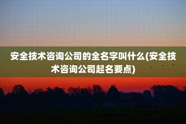 安全技术咨询公司的全名字叫什么(安全技术咨询公司起名要点)