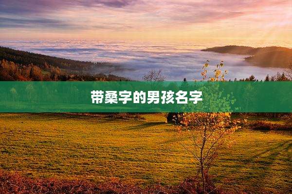 带桑字的男孩名字