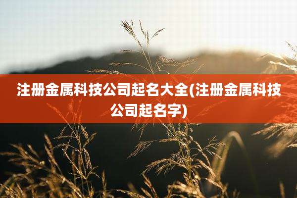 注册金属科技公司起名大全(注册金属科技公司起名字)