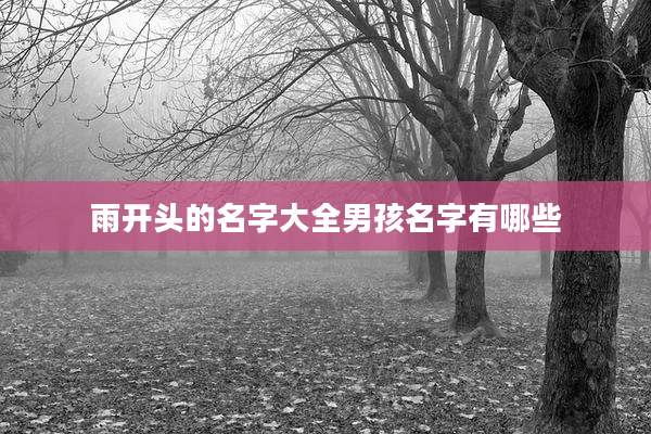 雨开头的名字大全男孩名字有哪些