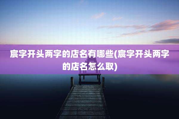 宸字开头两字的店名有哪些(宸字开头两字的店名怎么取)