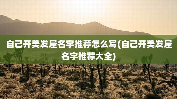 自己开美发屋名字推荐怎么写(自己开美发屋名字推荐大全)