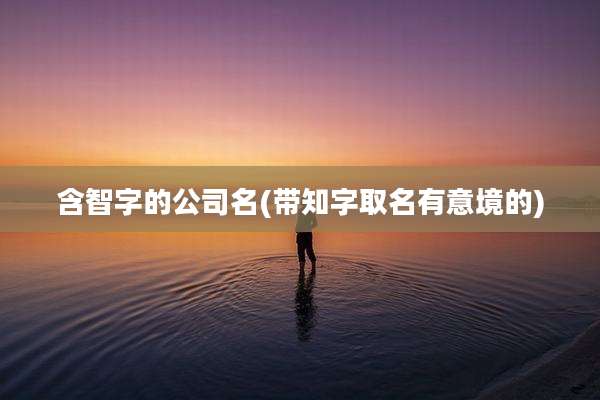 含智字的公司名(带知字取名有意境的)