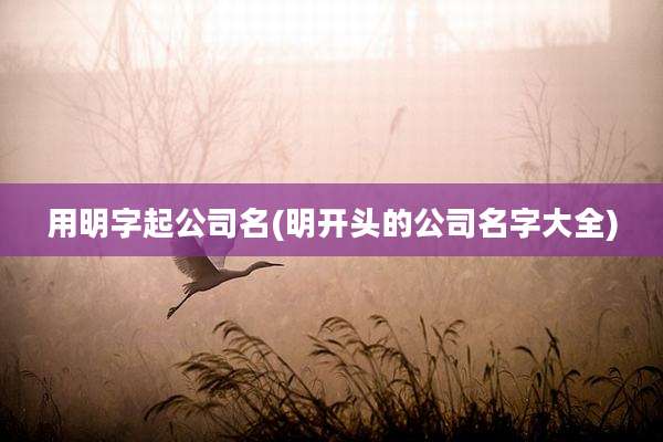 用明字起公司名(明开头的公司名字大全)