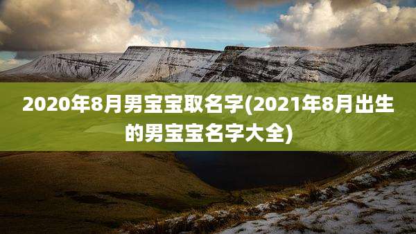 2020年8月男宝宝取名字(2021年8月出生的男宝宝名字大全)