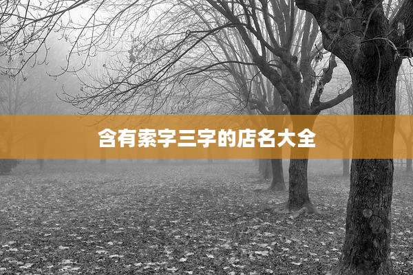 含有索字三字的店名大全