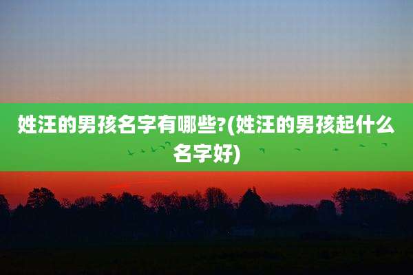 姓汪的男孩名字有哪些?(姓汪的男孩起什么名字好)
