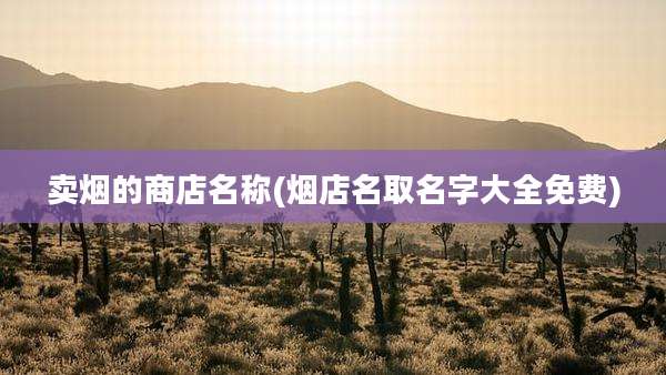 卖烟的商店名称(烟店名取名字大全免费)