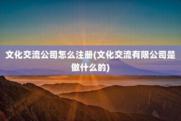 文化交流公司怎么注册(文化交流有限公司是做什么的)