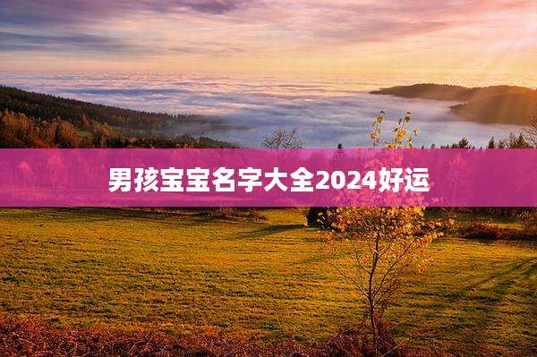 男孩宝宝名字大全2024好运