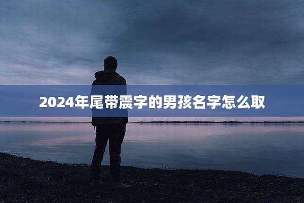 2024年尾带震字的男孩名字怎么取