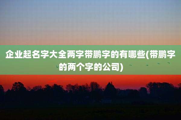 企业起名字大全两字带鹏字的有哪些(带鹏字的两个字的公司)