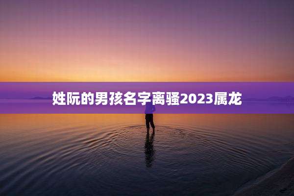 姓阮的男孩名字离骚2023属龙