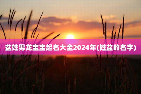 盆姓男龙宝宝起名大全2024年(姓盆的名字)
