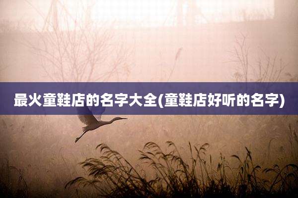最火童鞋店的名字大全(童鞋店好听的名字)