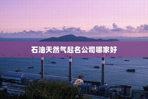 石油天然气起名公司哪家好