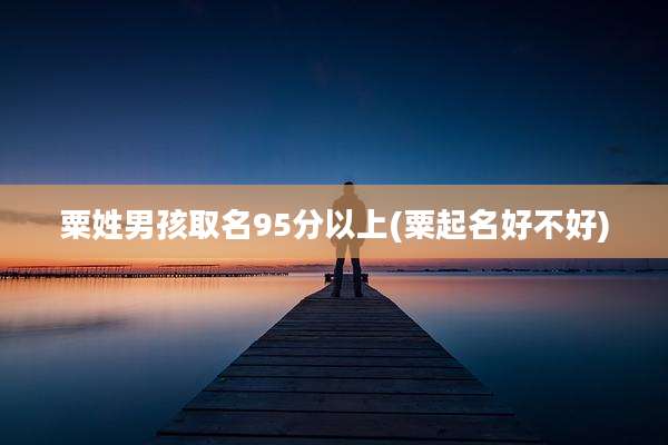 粟姓男孩取名95分以上(粟起名好不好)