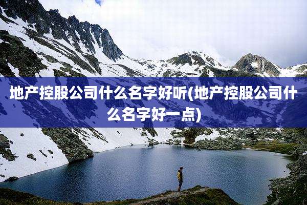 地产控股公司什么名字好听(地产控股公司什么名字好一点)