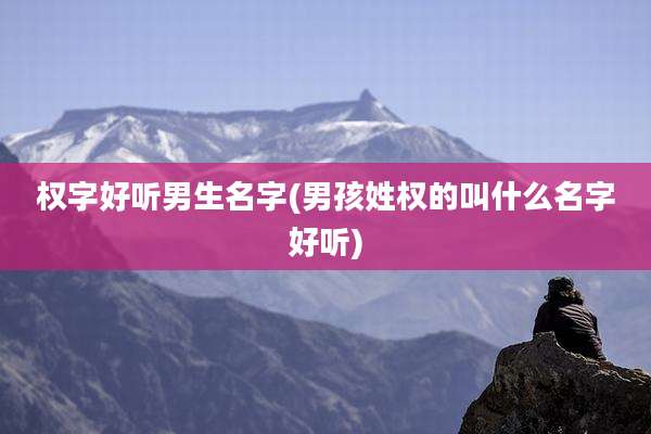 权字好听男生名字(男孩姓权的叫什么名字好听)