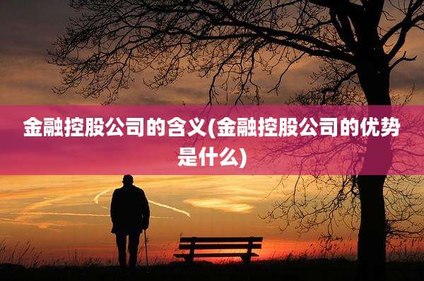 金融控股公司的含义(金融控股公司的优势是什么)