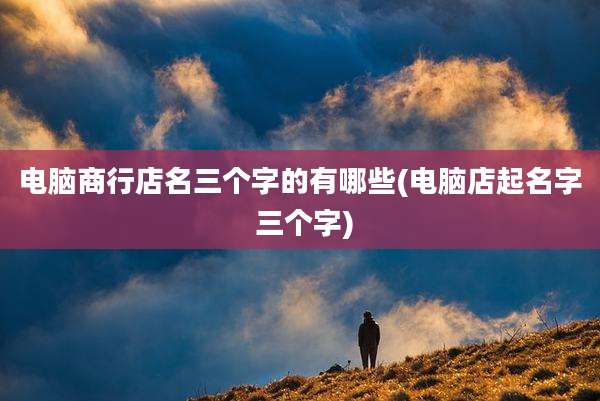 电脑商行店名三个字的有哪些(电脑店起名字 三个字)