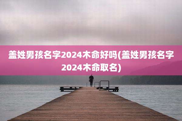 盖姓男孩名字2024木命好吗(盖姓男孩名字2024木命取名)