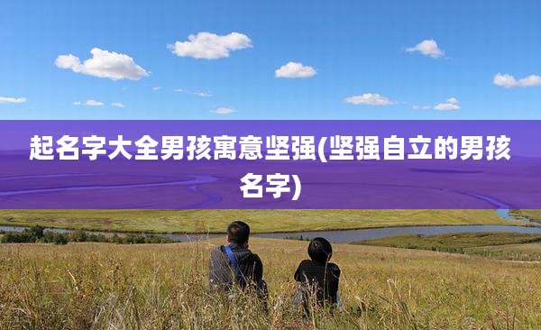 起名字大全男孩寓意坚强(坚强自立的男孩名字)