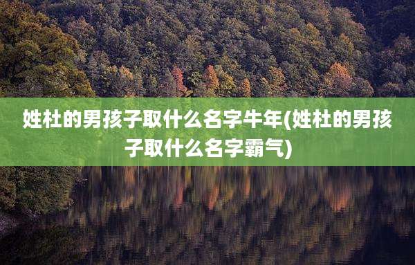 姓杜的男孩子取什么名字牛年(姓杜的男孩子取什么名字霸气)