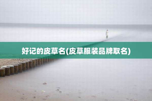 好记的皮草名(皮草服装品牌取名)