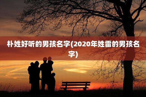 朴姓好听的男孩名字(2020年姓雷的男孩名字)