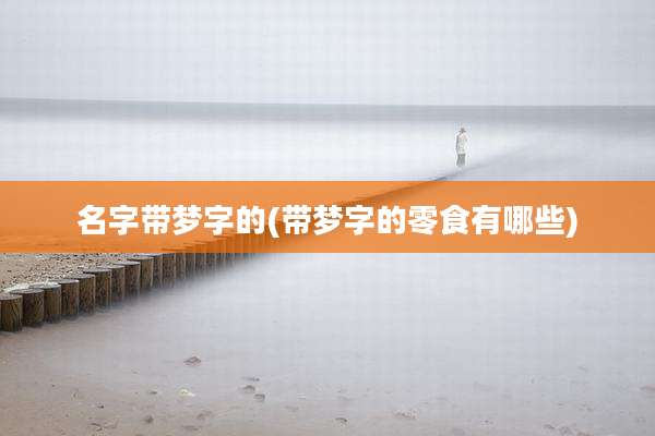 名字带梦字的(带梦字的零食有哪些)