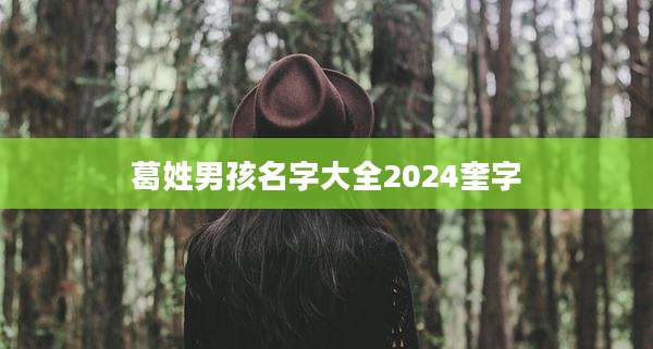 葛姓男孩名字大全2024奎字