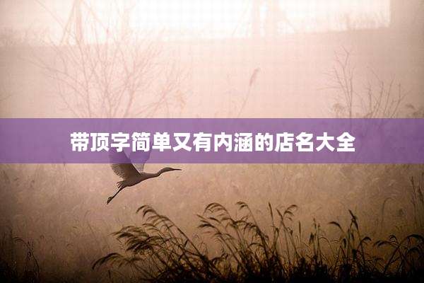 带顶字简单又有内涵的店名大全