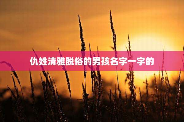 仇姓清雅脱俗的男孩名字一字的