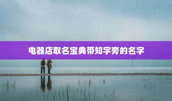 电器店取名宝典带知字旁的名字