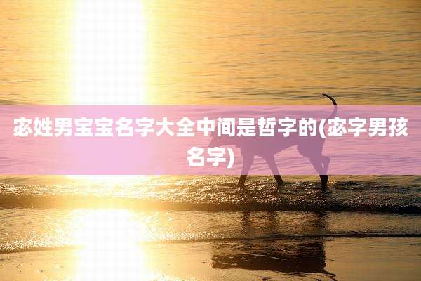 宓姓男宝宝名字大全中间是哲字的(宓字男孩名字)
