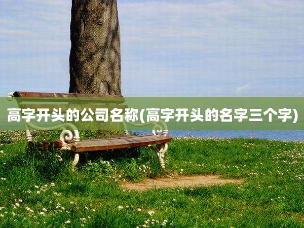 高字开头的公司名称(高字开头的名字三个字)