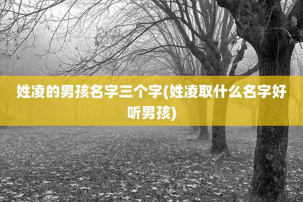 姓凌的男孩名字三个字(姓凌取什么名字好听男孩)