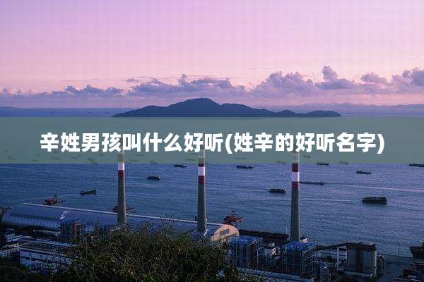 辛姓男孩叫什么好听(姓辛的好听名字)