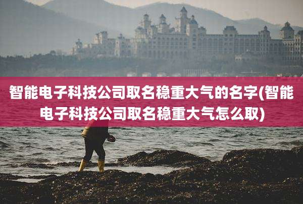 智能电子科技公司取名稳重大气的名字(智能电子科技公司取名稳重大气怎么取)