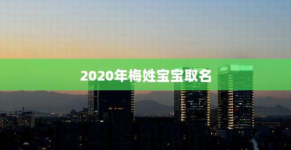 2020年梅姓宝宝取名