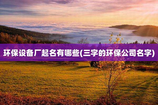 环保设备厂起名有哪些(三字的环保公司名字)