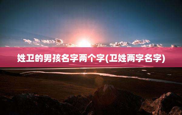 姓卫的男孩名字两个字(卫姓两字名字)